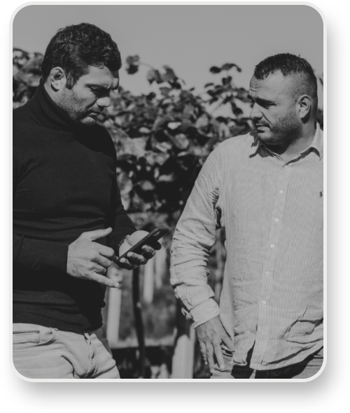 Elita_Fruit_Iliadis_moisis-min