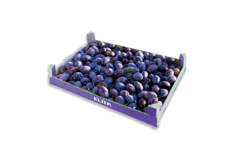 damaskina_packaging_elita_2023_1