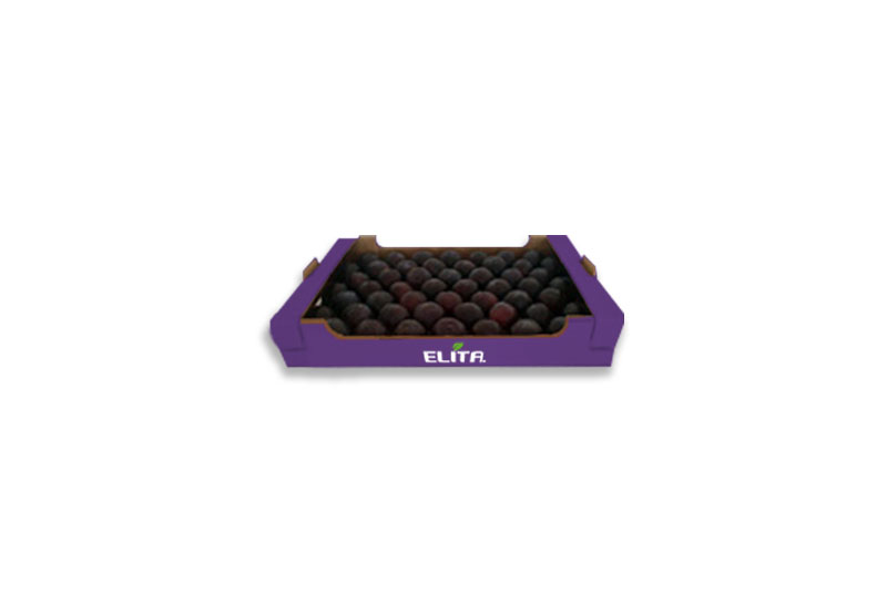 damaskina_packaging_elita_2023_2