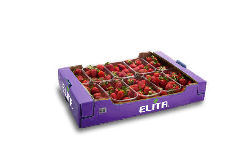 fraoula_packaging_elita_2023_1