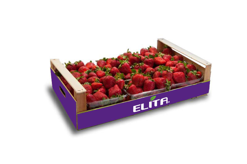 fraoula_packaging_elita_2023_2