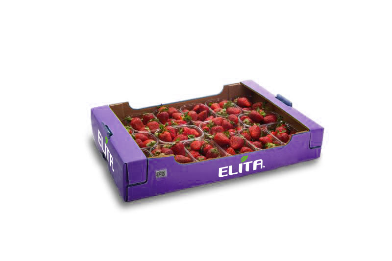 fraoula_packaging_elita_2023_3
