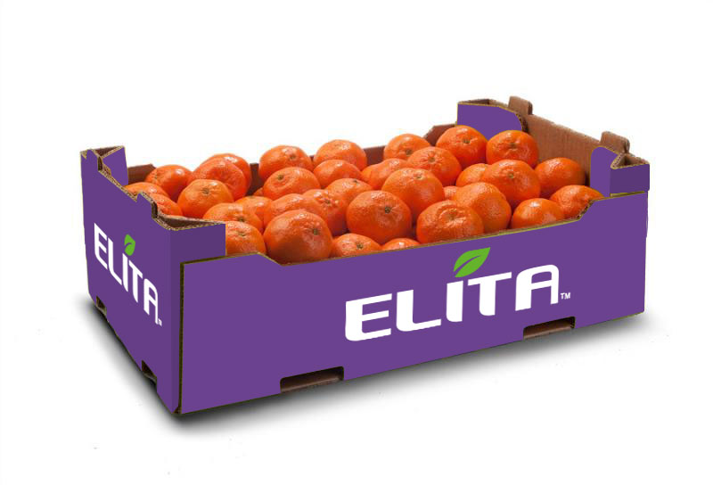 mantarinia_packaging_elita_2023_3