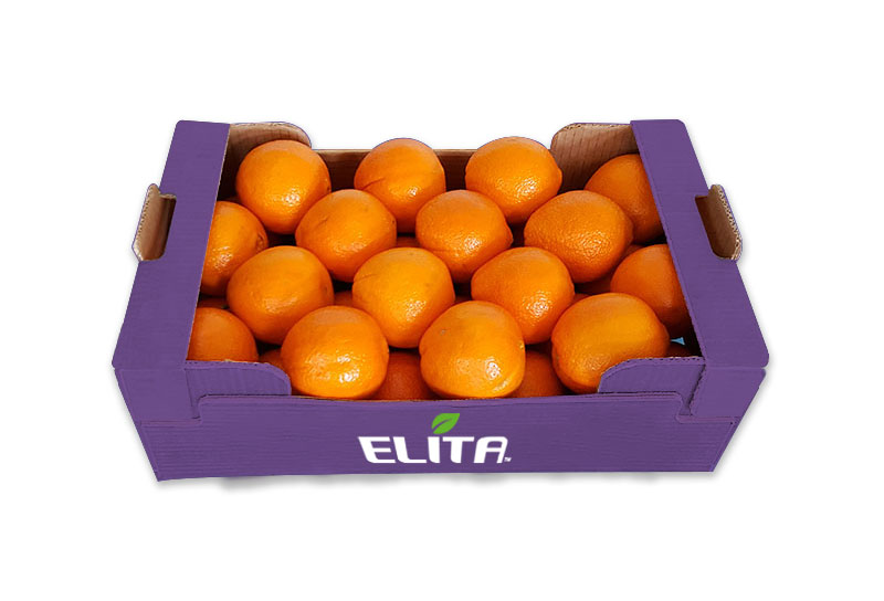 portokalia_packaging_elita_2023_1
