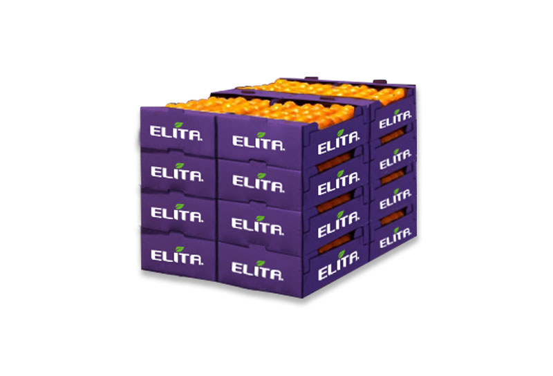 portokalia_packaging_elita_2023_3