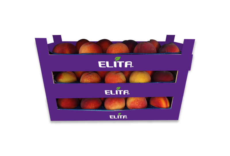 rodakina_packaging_elita_2023_3