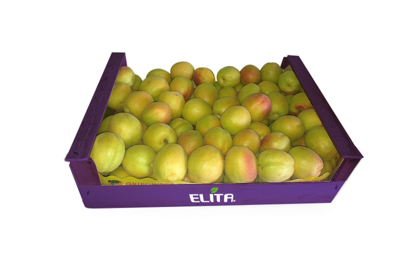verikoka_packaging_elita_2023_1