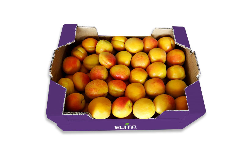 verikoka_packaging_elita_2023_3